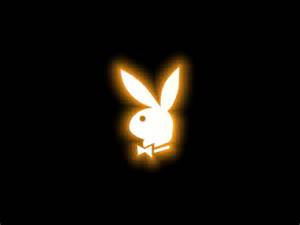 logo Gold Bunny